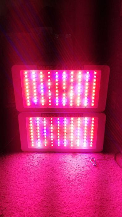Lampy led do uprawy roślin
