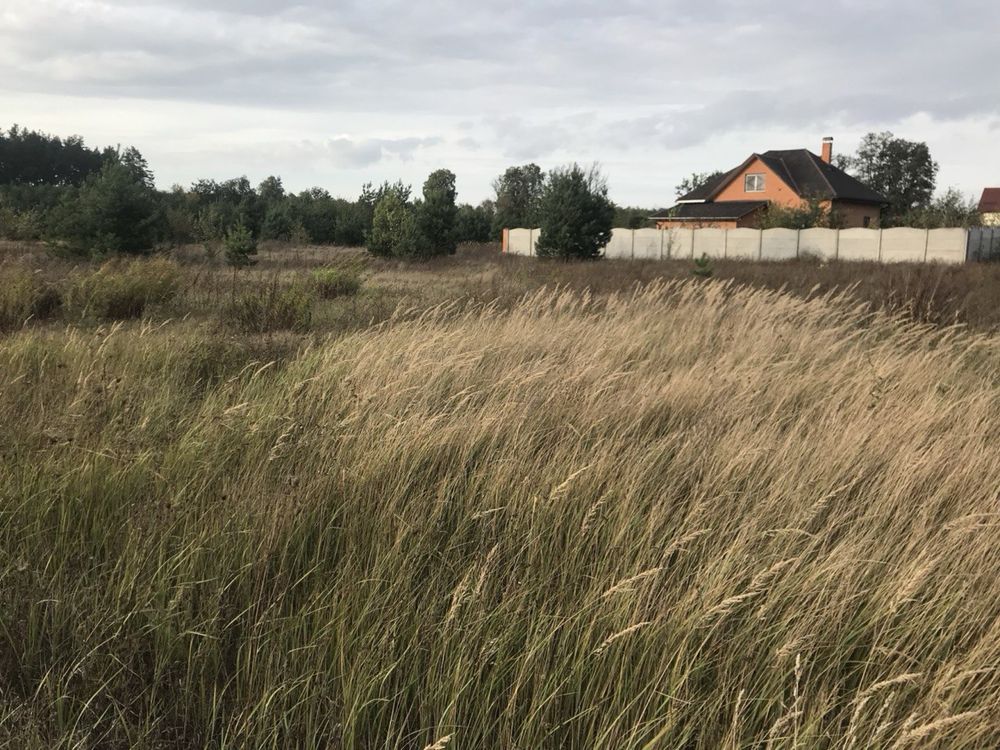 Терміново / Юрів /  28 соток / без комісії / торг