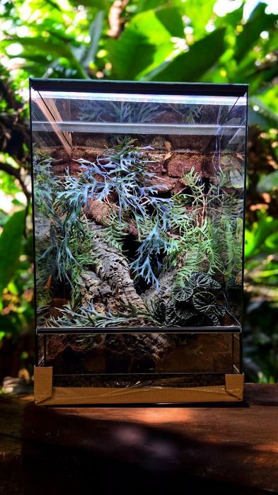 Terrarium 40x40x60H, wystrój, Producent, wysyłka, ścianka, Nowe