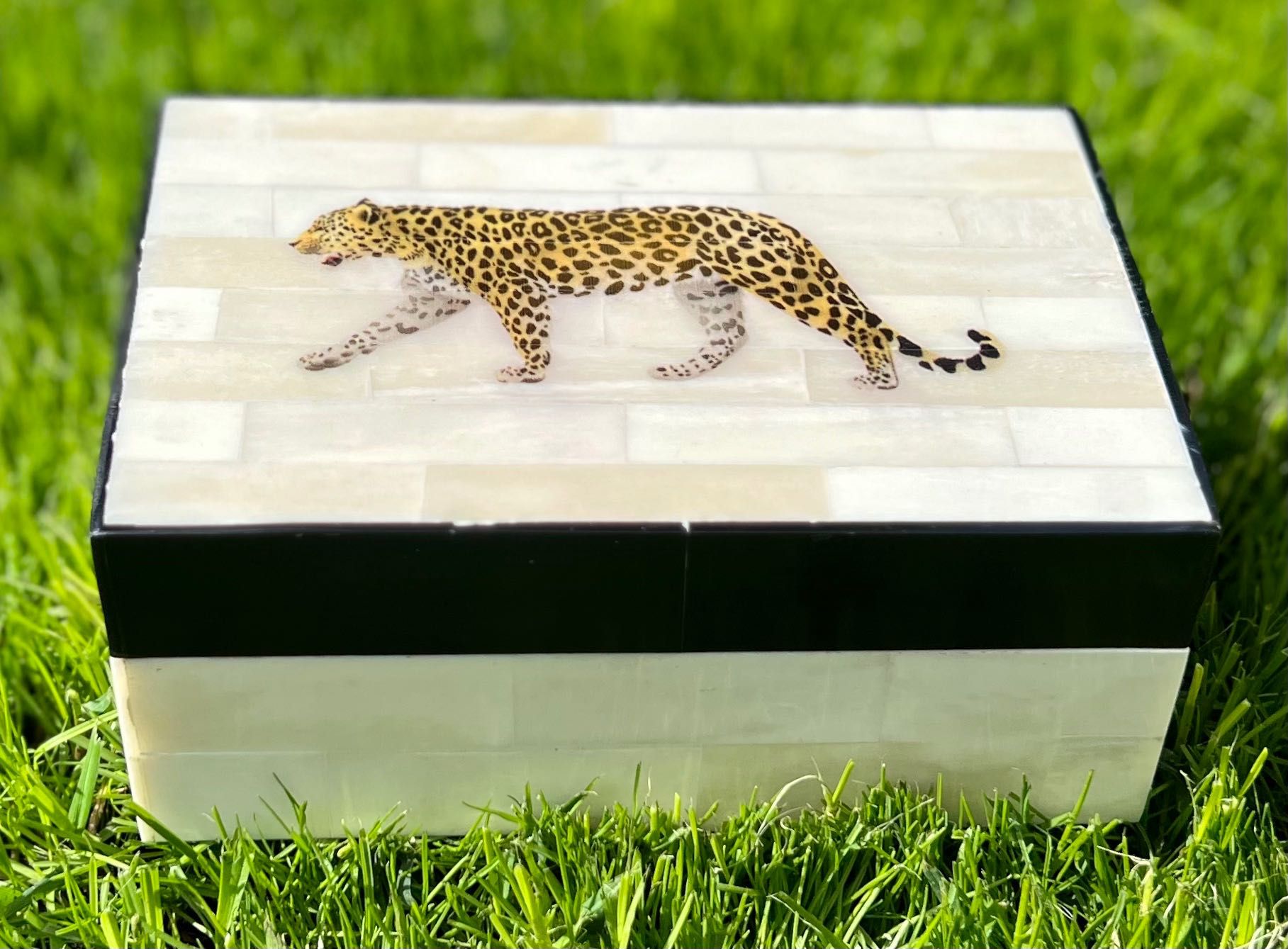 Oryginalna szkatułka z jaguarem