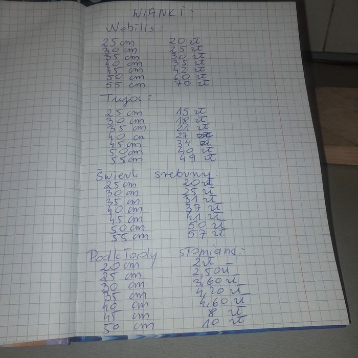 Wianki na podkładzie słomianym z żywego materiału