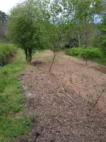 Terreno rústico perto da cidade de Vale de Cambra