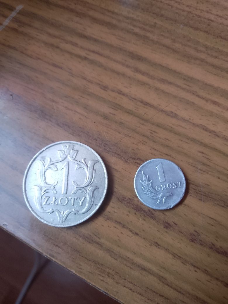 monety r29 i r40