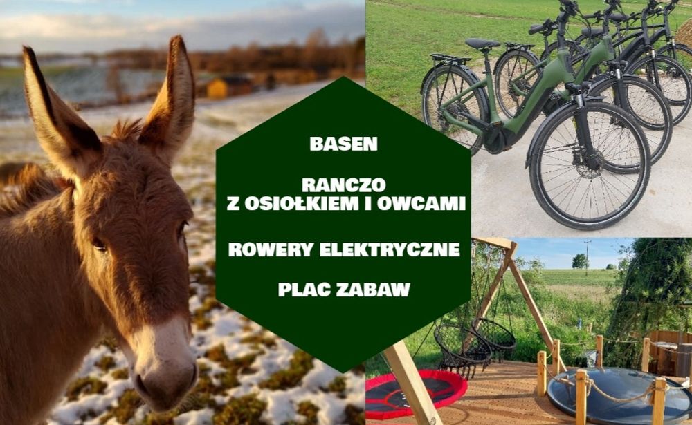 Domek na Kaszubach z kominkiem/agroturystyka z osiołkiem