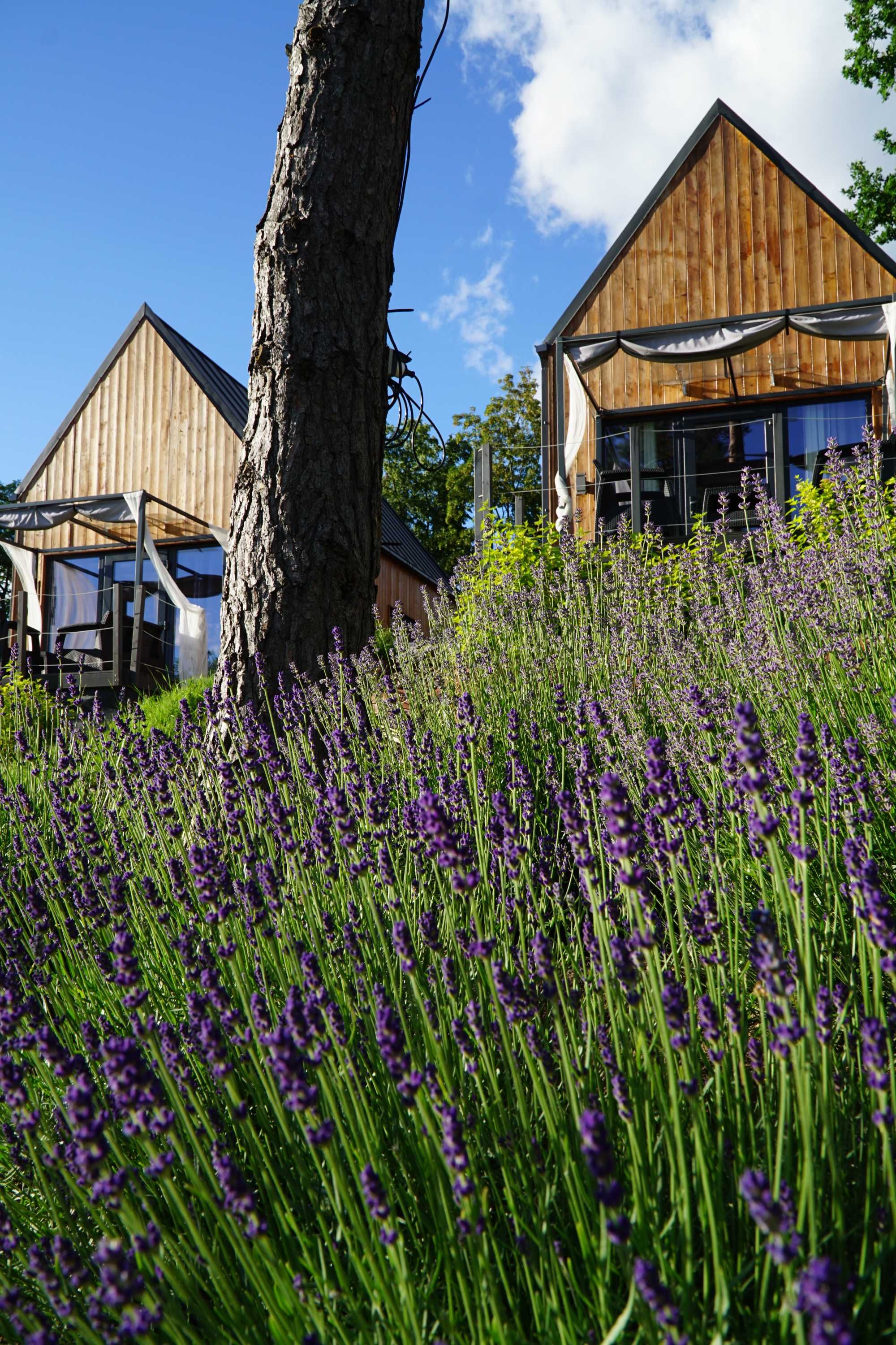 Kręgiel domki lux sauna gorąca balia/jacuzzi. Z linią brzegową