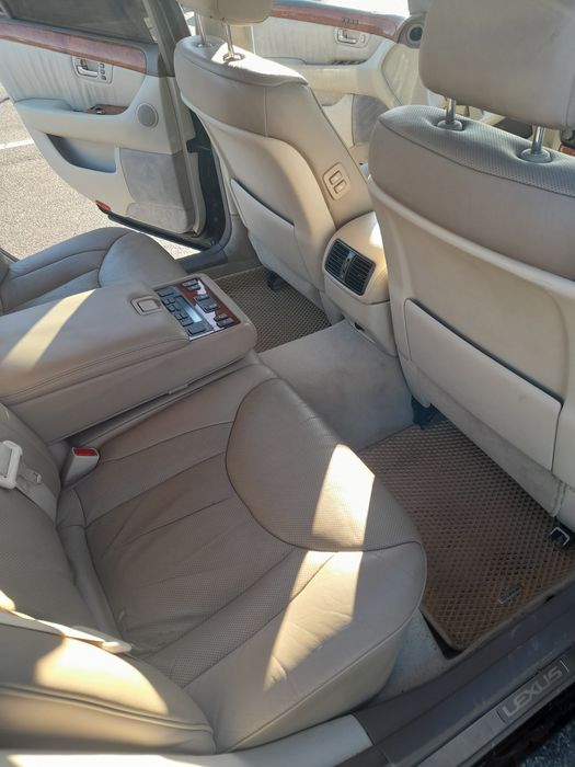 Продам "японського кабана"