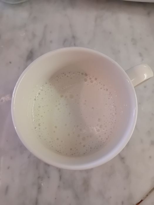 Kefir de leite (flor de iogurte)