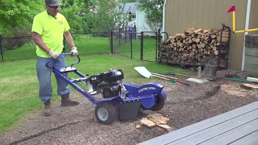 Raizes (remoção de raizes)