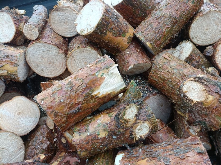 Drewno opałowe - sosna /swierk