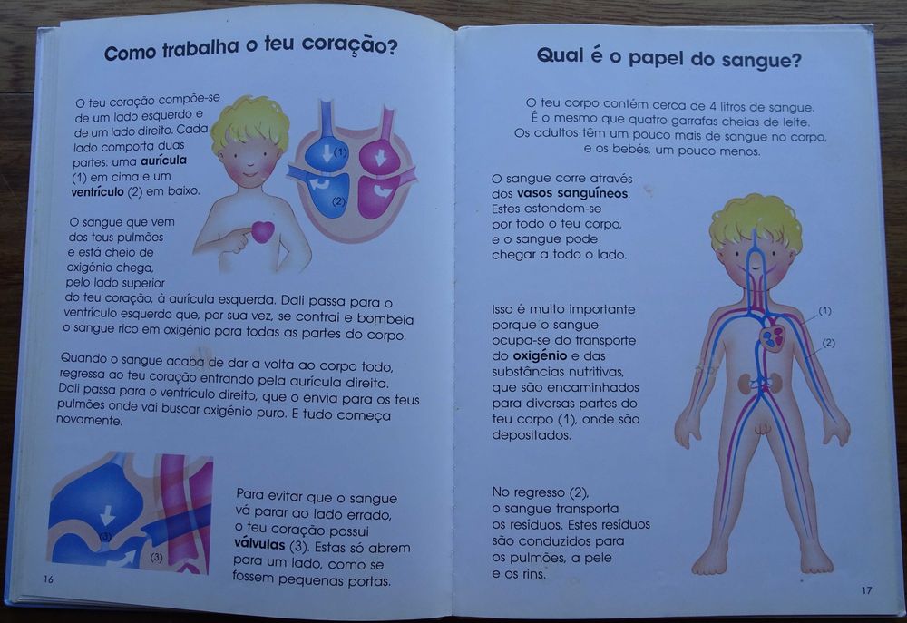 O Meu Corpo Por Dentro e Por Fora (Dos 5 a 9 Anos)