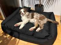 Komfortowe legowisko dla psa WIELE rozmiarów + haft z imieniem