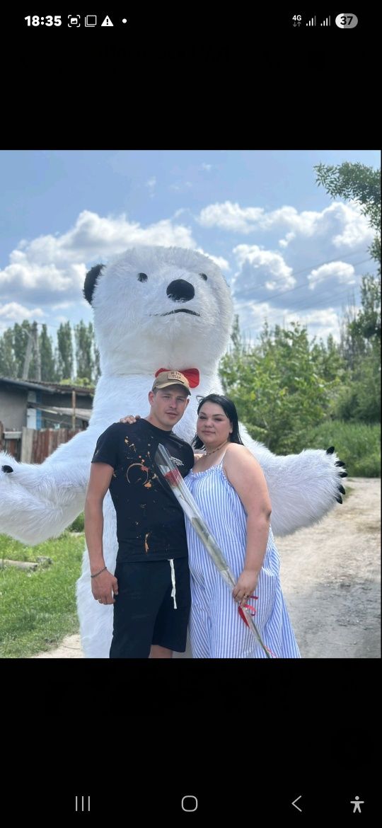 Мишка аниматор , панда  аниматор,  надувной медведь