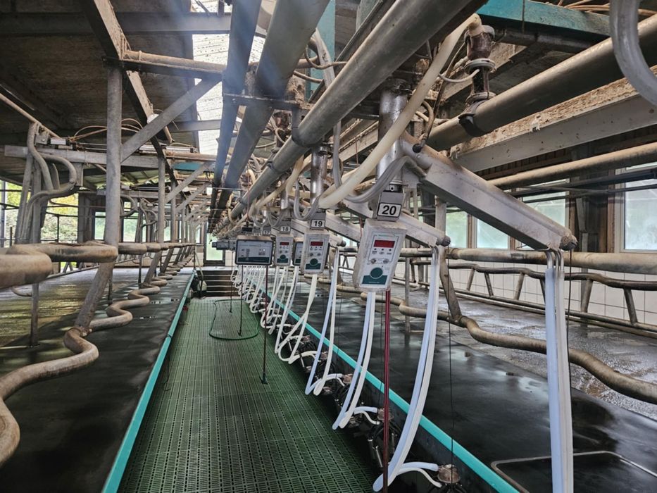 Hala udojowa 2x20 Westfalia GEA Dematron60 typ SwingOver