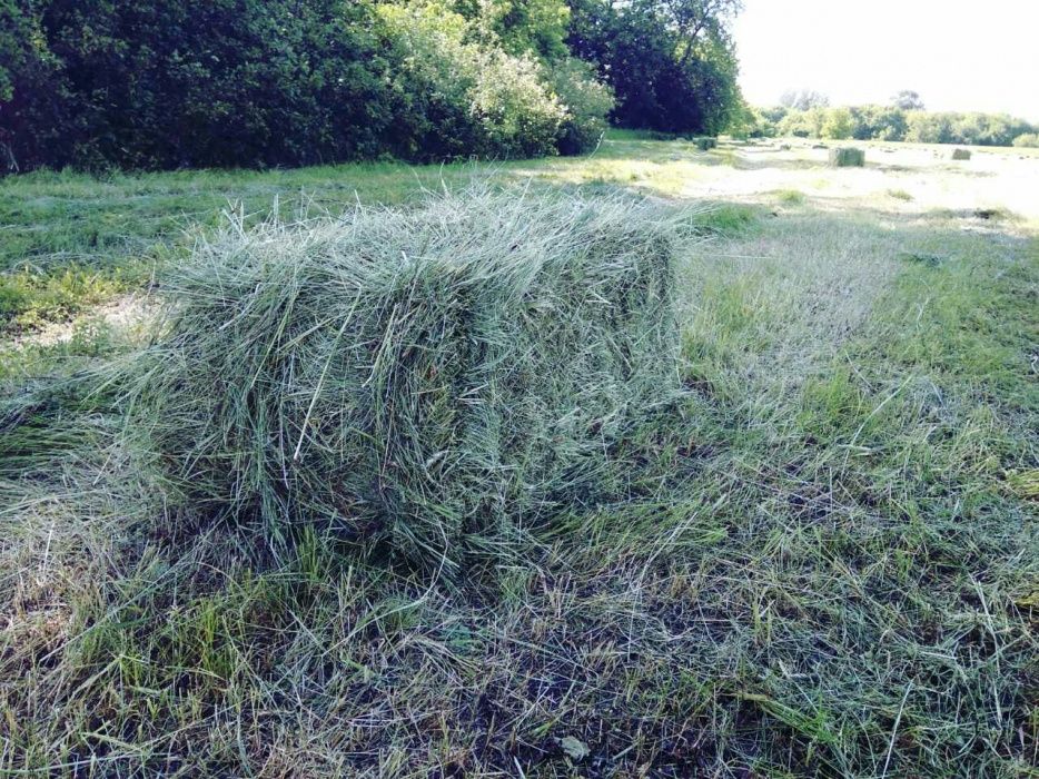 Сено, Солома в тюках в мешках