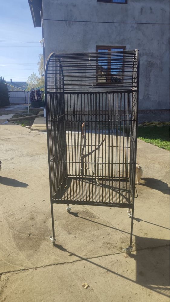 Клітка для Папуг