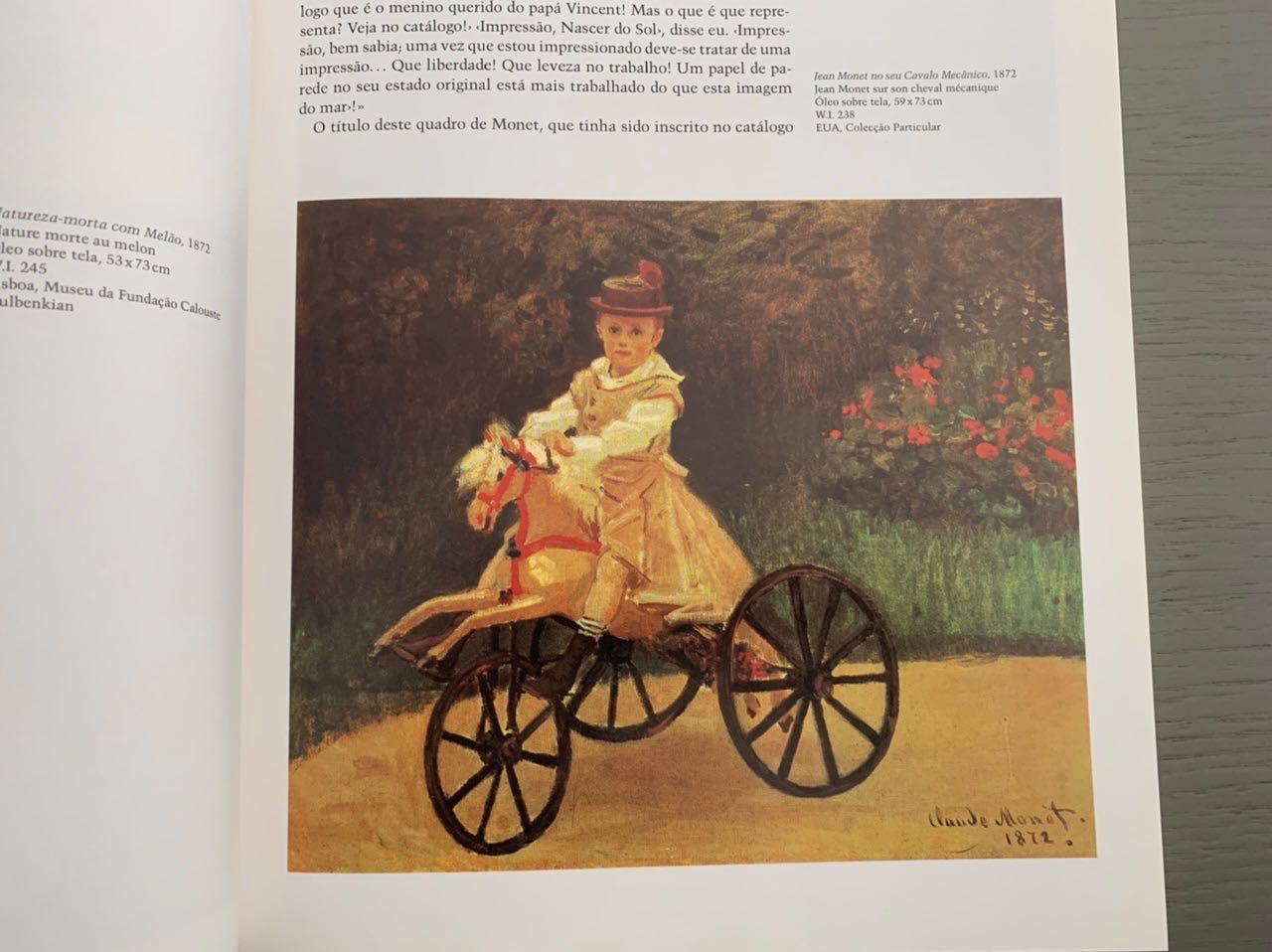 Claude Monet - uma festa para os olhos