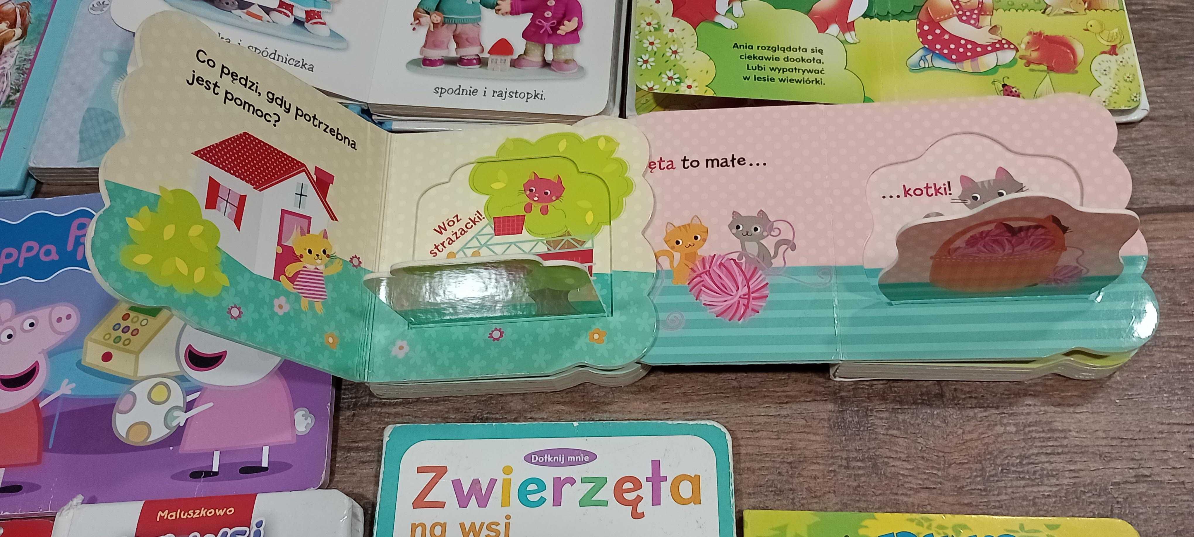 Książeczki dla najmłodszych, 9 szt