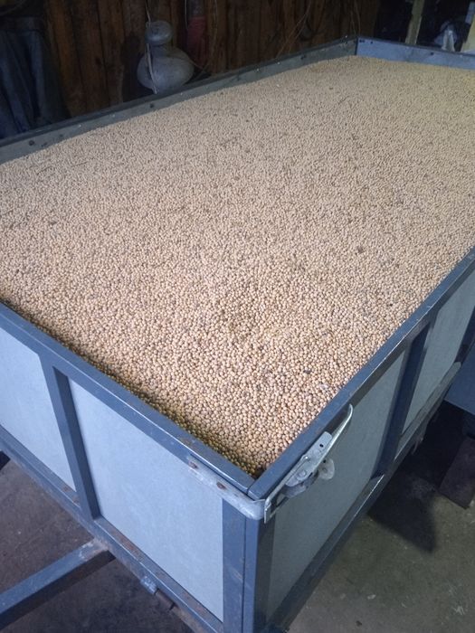 Продам сою урожай 2025.