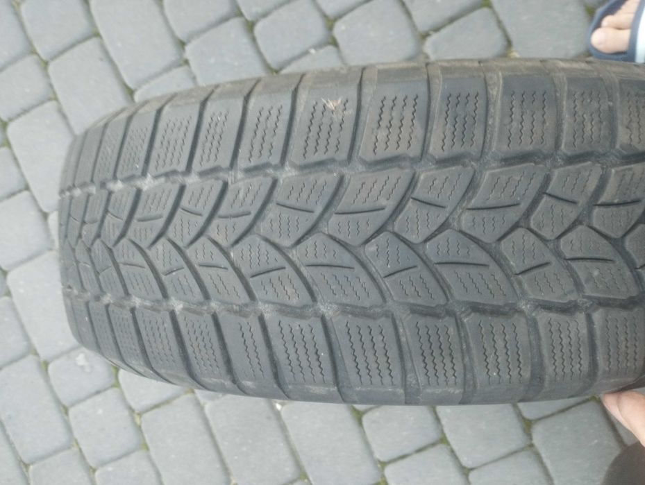 Opony zimowe Firestone Winterhawk 3 195/65/R15