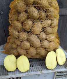 Ziemniaki kremowe od rolnika