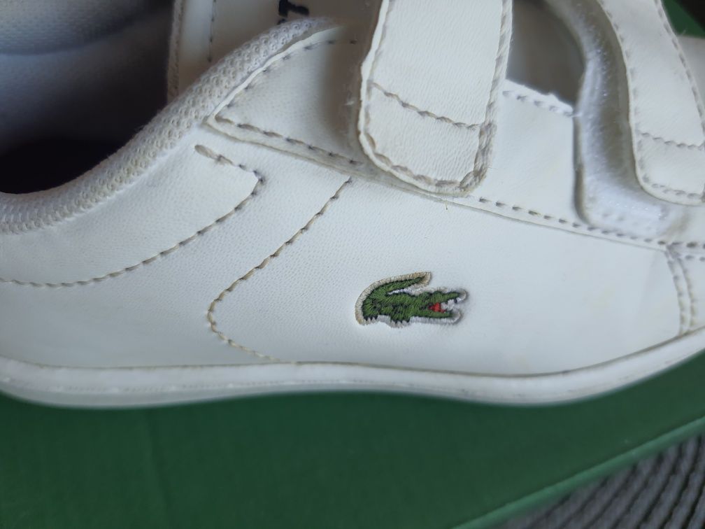 Buty lacoste 26 chłopiec