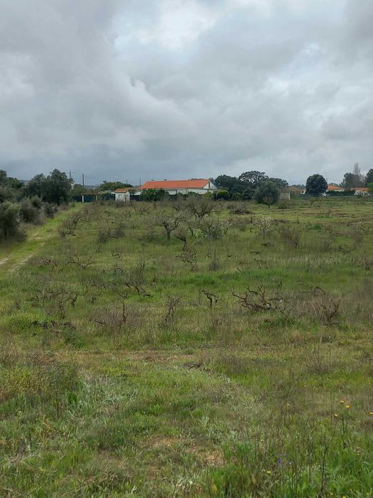 Limpeza de terrenos + Limpeza de fossas + Serviços agrícolas