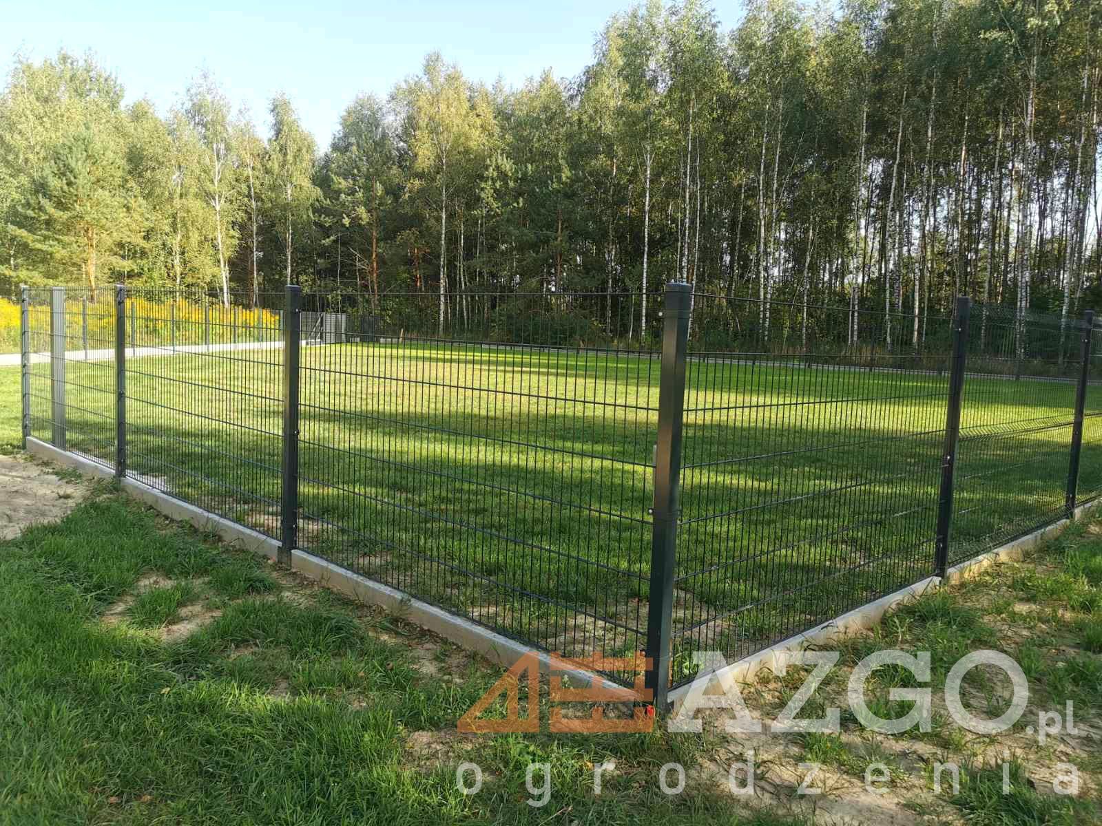 Panel 2D 6/5/6 / 1,23m 143cm 163cm 183cm 250cm ocynk kolor