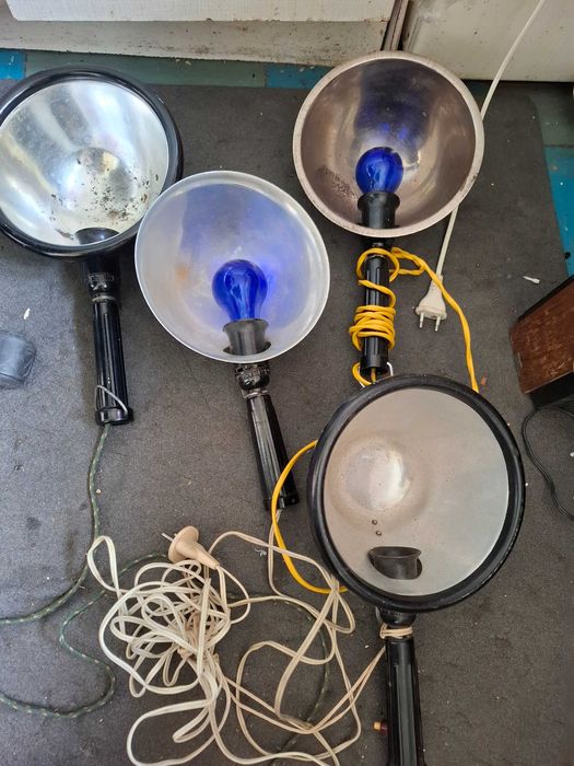 Дампа синяя      .