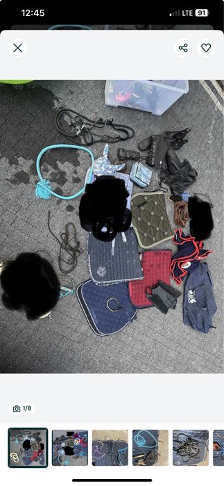 Czaprak kantar lonża