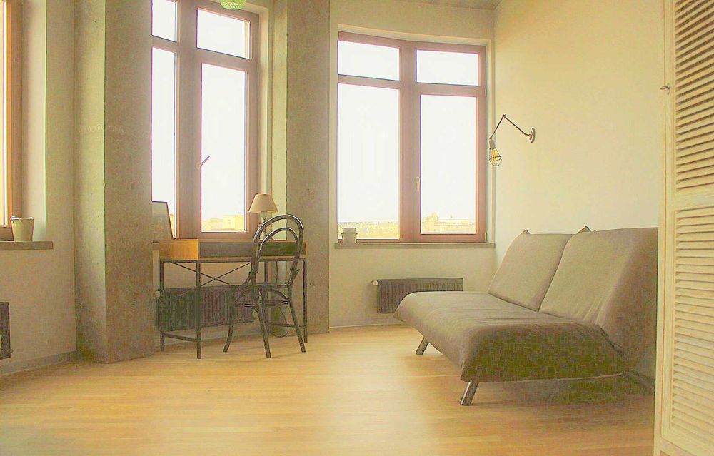 двуспальная квартира в стиле ЛОФТ, Гефест