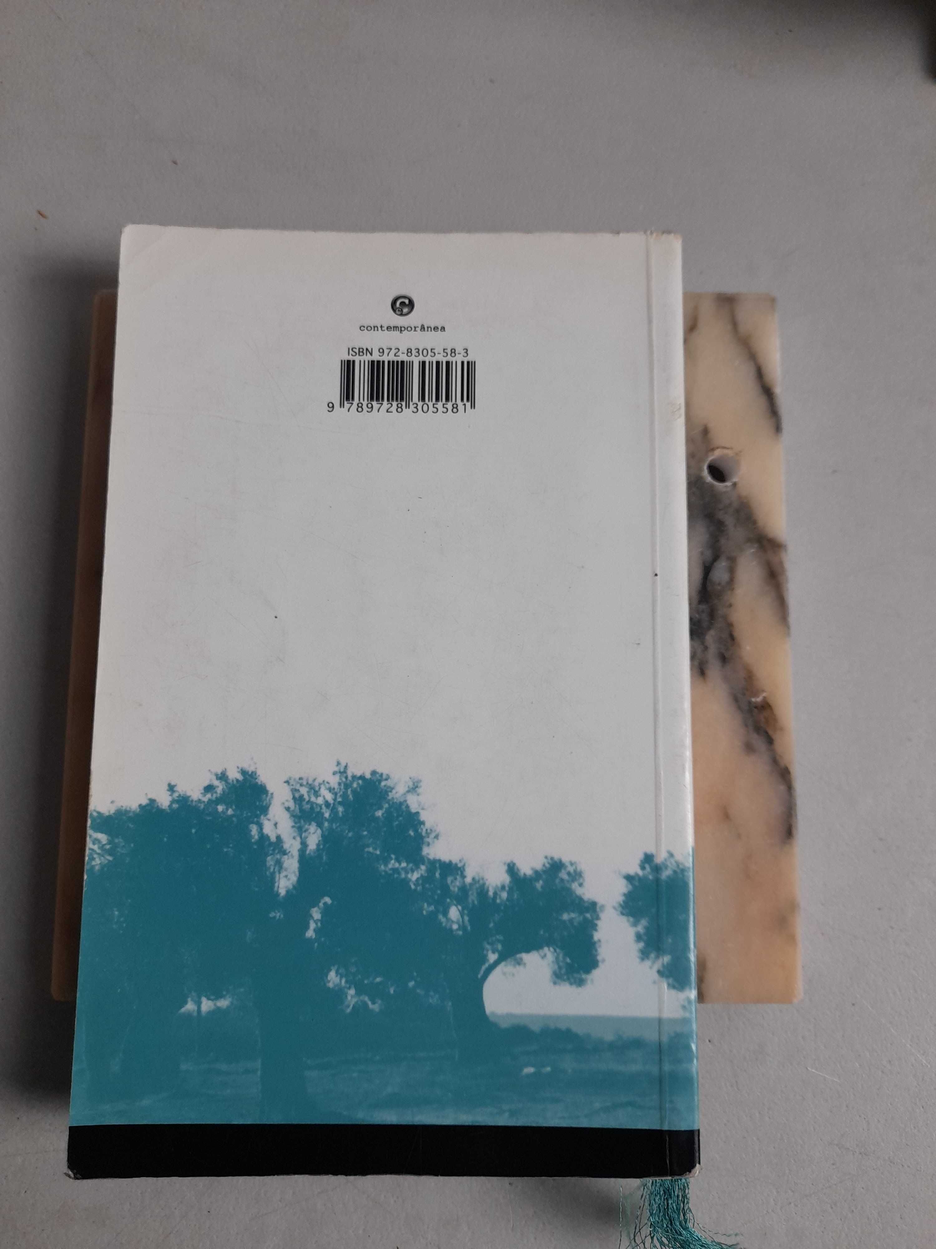 Livro - José Silva- roteiro gastronómico de portugal VSO