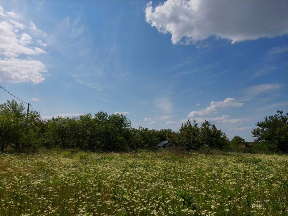 Дві суміжні дачні ділянки 0,18 га біля Веселинівки, Баришивський район