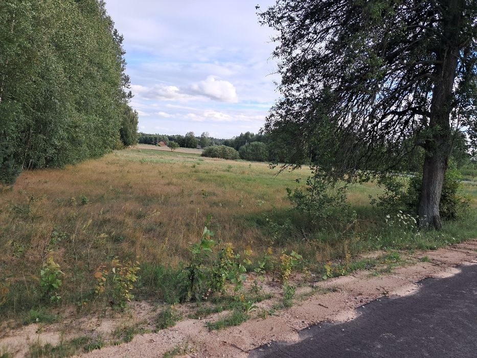 Górny Gród - bezpośrednio przy Puszczy!