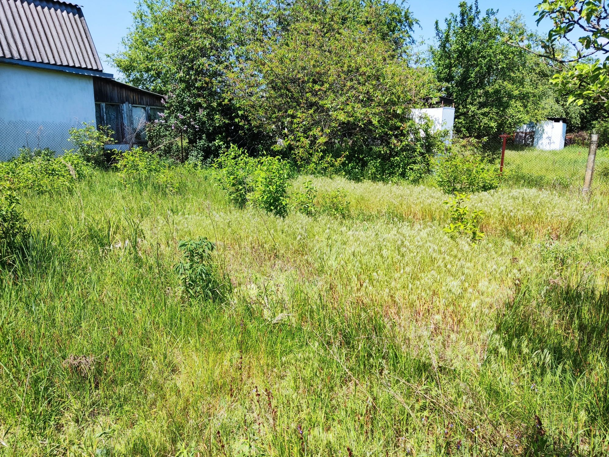 Продам дачу Ровжи
