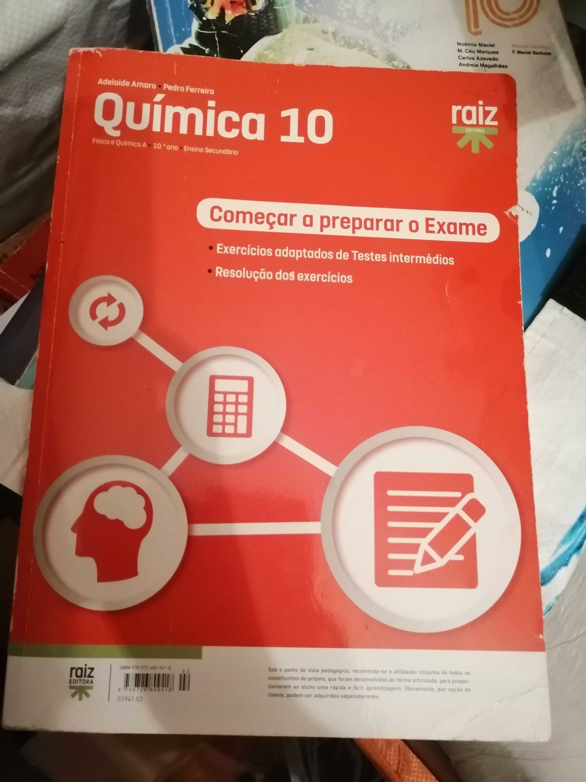 Química 10 RAÍZ CA