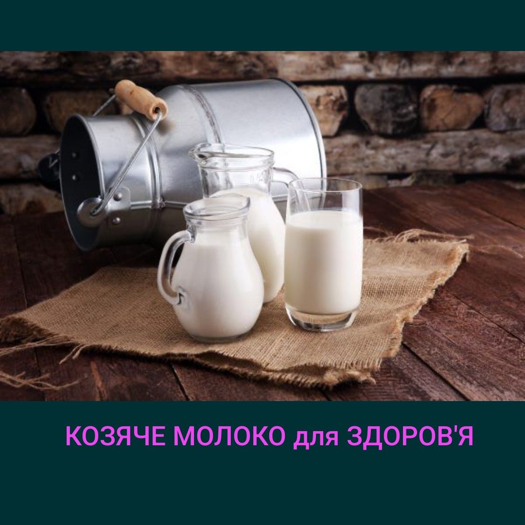 Молоко Англо-Нубійських кіз