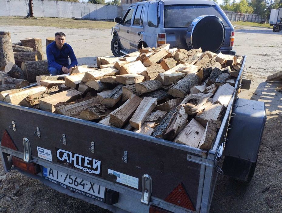 Дрова твердих порід