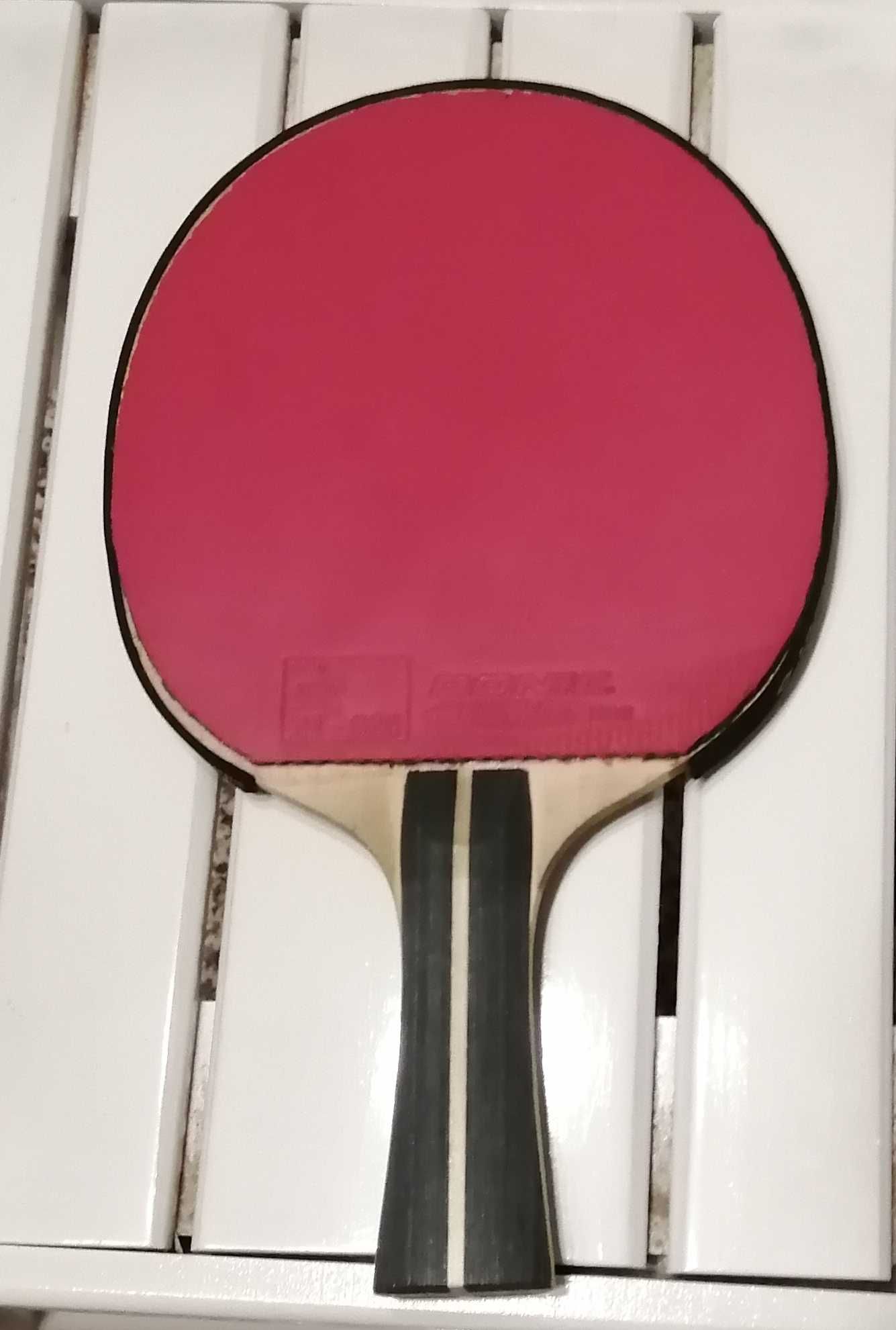 Raquete Ténis de Mesa - Ping Pong