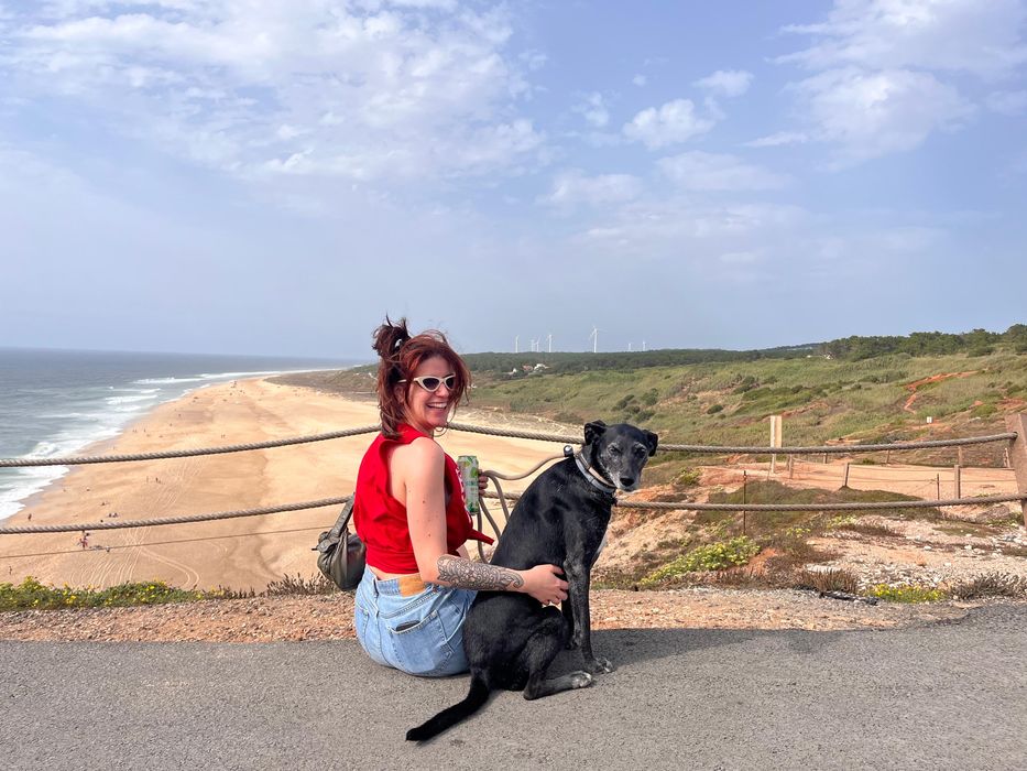 Dog sitting/ day care/ layover