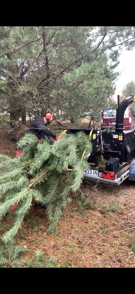 Pielęgnacja drzew wycinka zrębkowanie gałęzi alpinista frezowanie pni