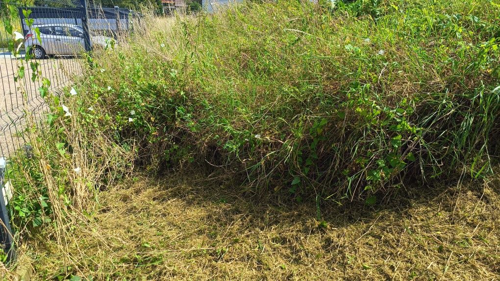 Koszenie trawy kosami spalinowymi, koszenie przydomowych trawników