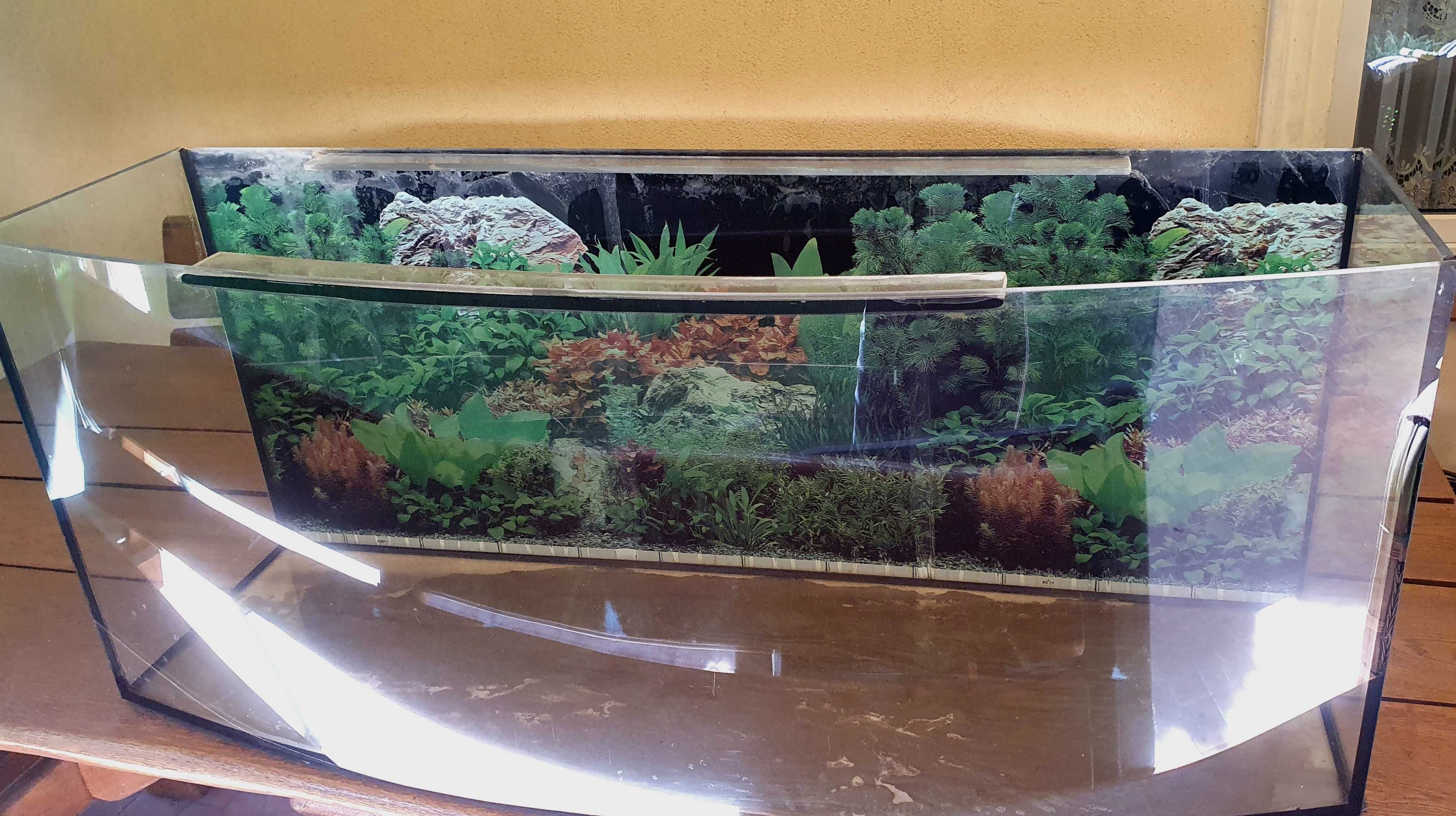 Akwarium terrarium profilowane 120 cm x 40 cm x 50 cm szkło typu float