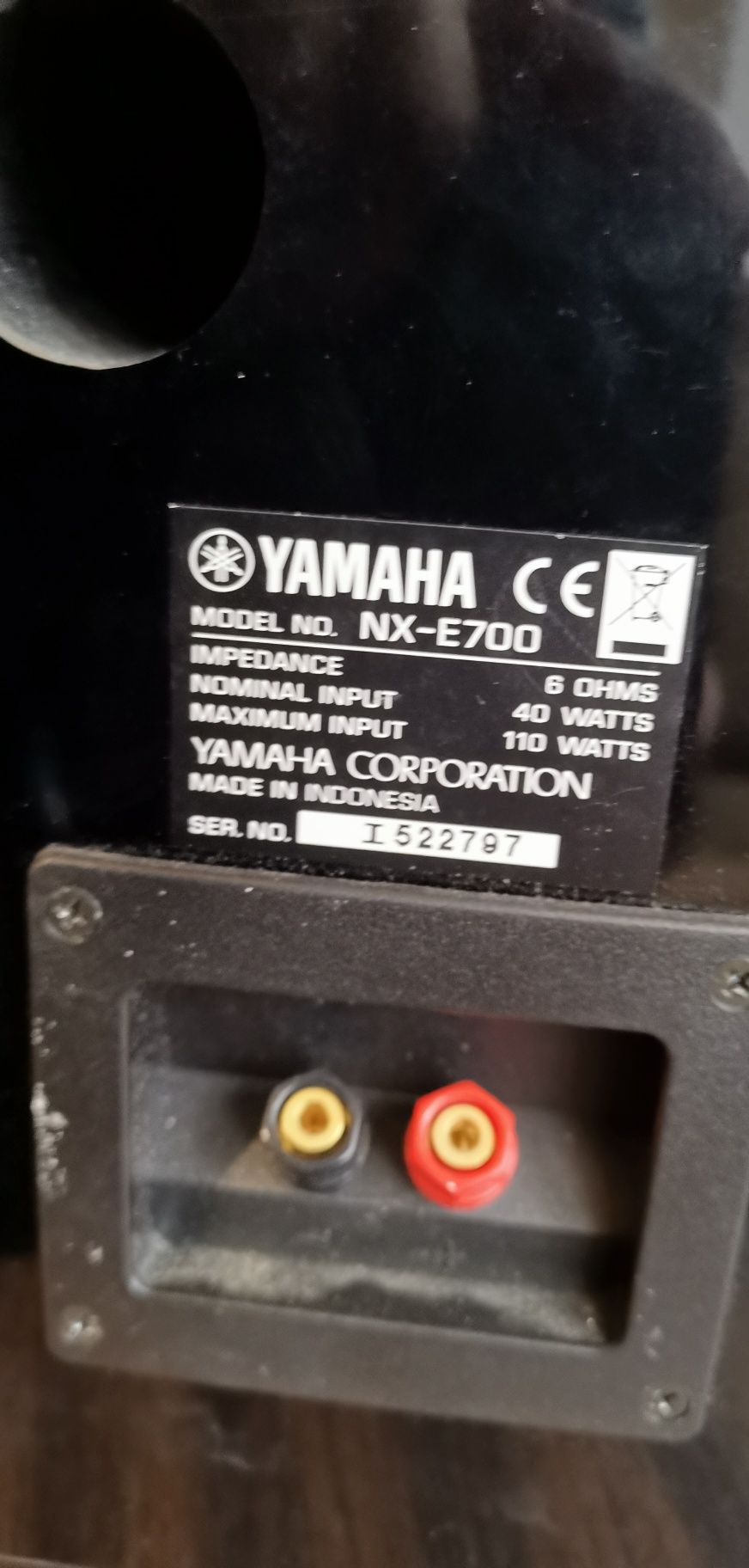 Yamaha e 700   monitor audio Radius 180