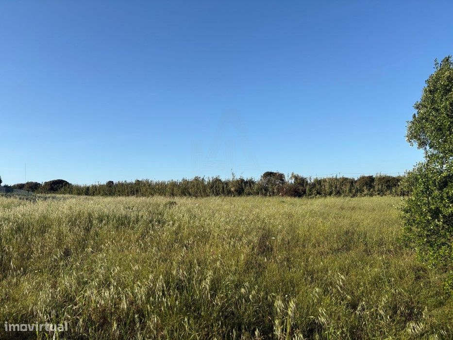 Dois terrenos planos na Azóia, Sesimbra - mais de 8.200 m² em zona ...