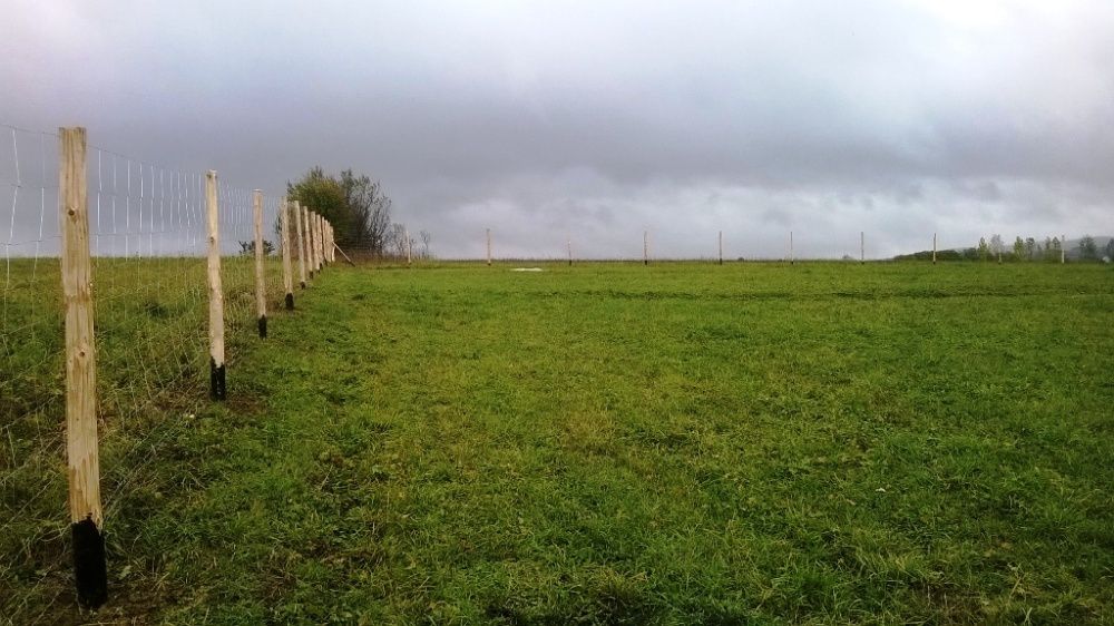 Ogrodzenie z siatki leśnej tymczasowe budowlane FAKTURA VAT od 23 zł