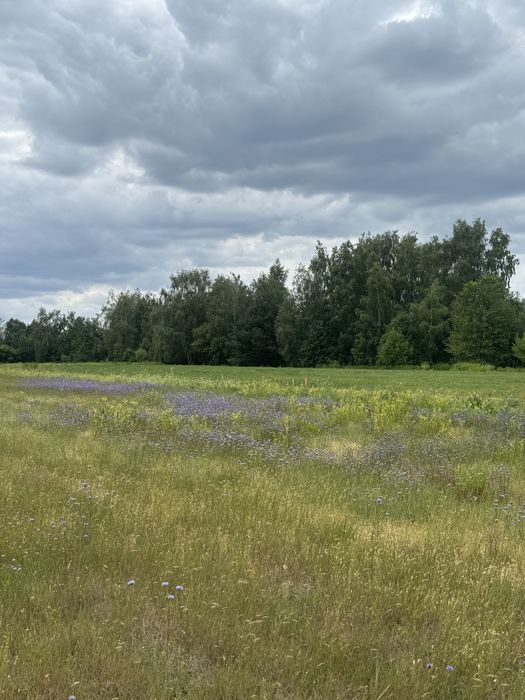 Dzialki budowlane Osada Mlynska