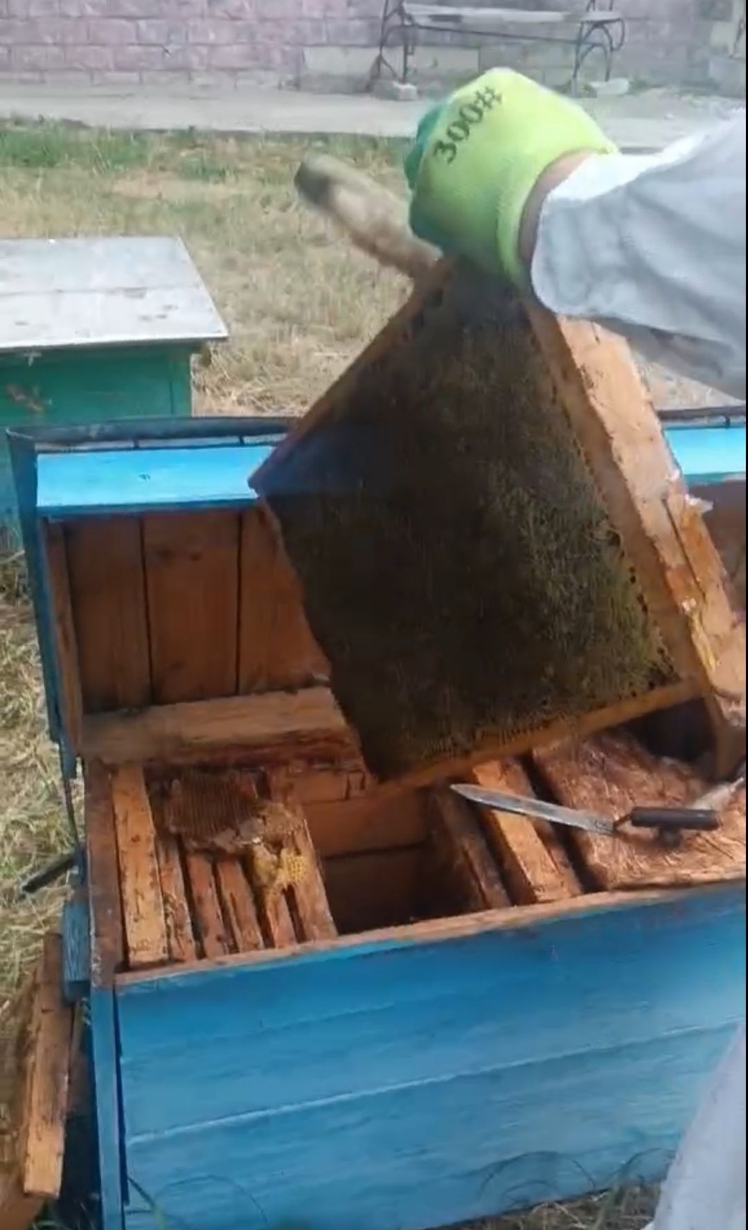 Продам мед АКАЦІЇ