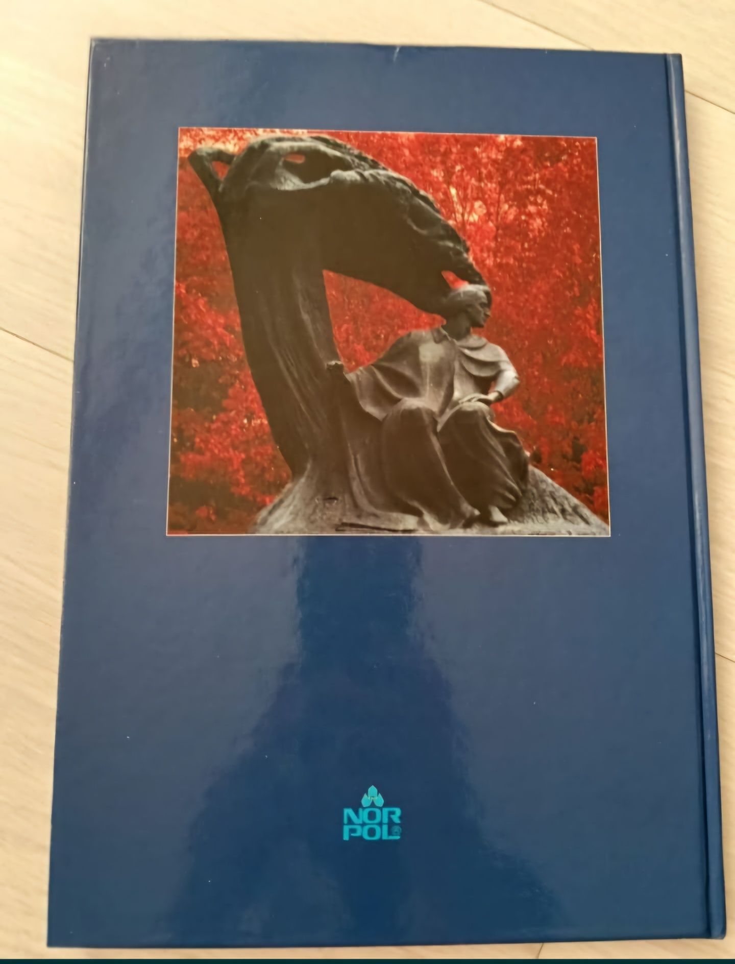 Album "Warszawa u progu XXI wieku"