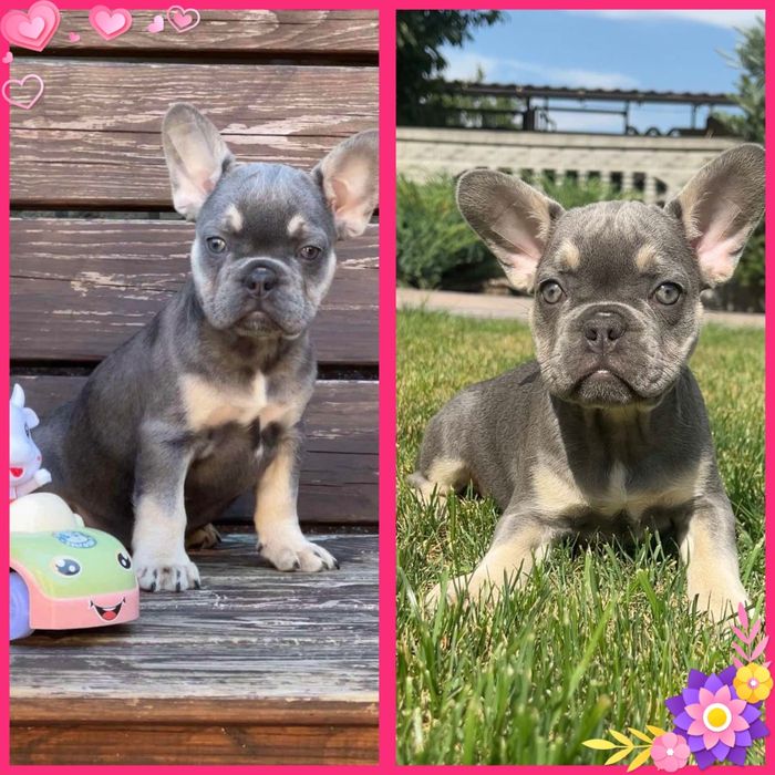 Неймовірно гарна