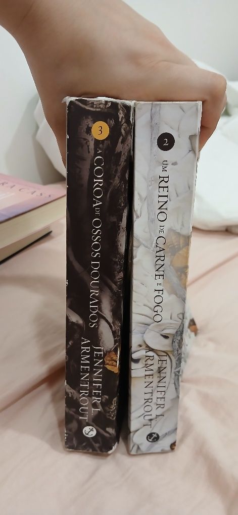 Volume 1 e 2 da saga DE SANGUE E CINZAS